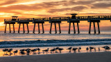 November Morning at JAX Beach 10.jpg