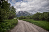 IMP2615-Waterton Lakes National Park.jpg