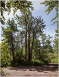 IMP2661-Waterton Lakes National Park.jpg