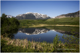 K315336-Waterton Lakes National Park