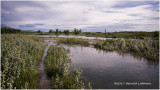 K316331-Waterton Lakes National Park.jpg