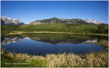 K315338-Waterton Lakes National Park.jpg