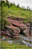 K316431-Waterton Lakes National Park.jpg