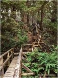 018Tofino2018.jpg