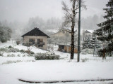 Snowing in Slovenia<br/><h4>*Credit*</h4>