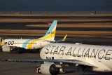 AIR DO ANA AIRCRAFT HND RF 5K5A8488.jpg