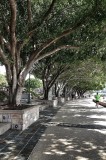 Wood and Stone, Southbank Parkland, Brisbane