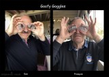 Goofy Goggles