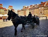 Horsedrawn carriage