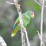 DSC_0075b.JPG