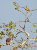 DSC_0389b.JPG