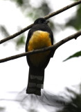 DSC_0563b.JPG