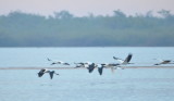 DSC_0022b.JPG