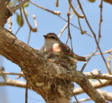 DSC_0390b.JPG