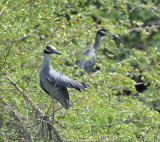 DSC_0821b.JPG