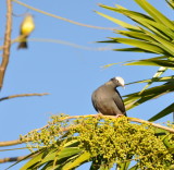 DSC_0196b.JPG
