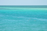 DSC_0326b.JPG