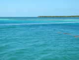 IMG_6787b.JPG