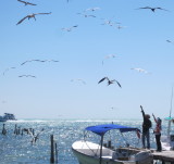 IMG_6815b.JPG
