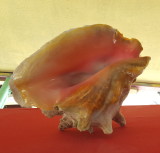 20170325_100231b.jpg