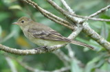 DSC_1145b.JPG