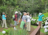 IMG_7483b.JPG