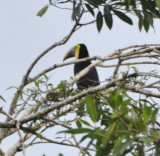 DSC_0653b.JPG