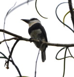 DSC_0234b.JPG