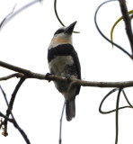 DSC_0253b.JPG