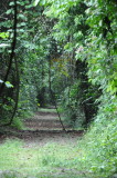 DSC_0305b.JPG