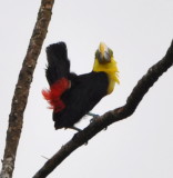 DSC_0363b.JPG