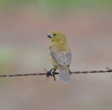 DSC_0015b.JPG