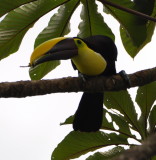 DSC_0669b.JPG