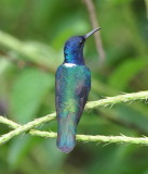 DSC_0027b.JPG