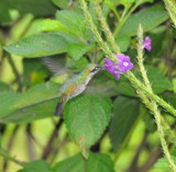 DSC_0388b.JPG