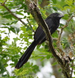 DSC_0953b.JPG