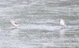 DSC_0134b.JPG