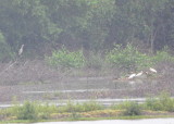 DSC_0247b.JPG