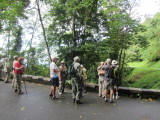 IMG_5523b.JPG