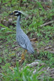 DSC_0055b.JPG