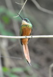 DSC_0121b.JPG