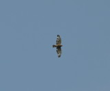 DSC_0139b.JPG