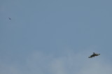 DSC_0145b.JPG