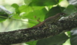 DSC_0188b.JPG