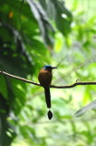 DSC_0305b.JPG