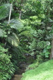 DSC_0483b.JPG