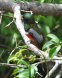 DSC_0635b.JPG