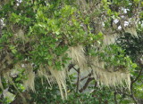 DSC_0671b.JPG