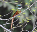 DSC_0767b.JPG