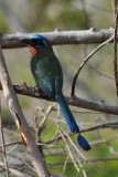 DSC_0152b.JPG